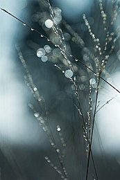 一个吮吻花蒂两个吃奶|创新车型引领潮流,“吮吻花蒂”与“两个吃奶”共舞汽车市场风华-2