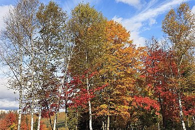 老太婆脱了裤子让我玩|新能源汽车概念横空出世:颠覆传统,人性化科技引领未来驾驶体验-3