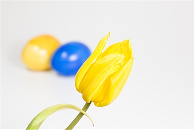 700元3小时不限次数品茶|都市喧嚣中,茶香悠然:体验市中心茶馆,尽享3小时品茗时光-1