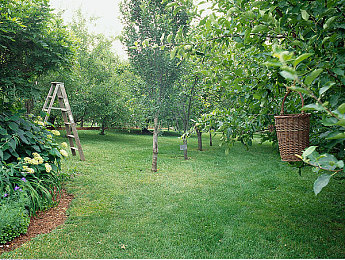 18禁网站入口｜墨舞动力，智驾清新之旅-1