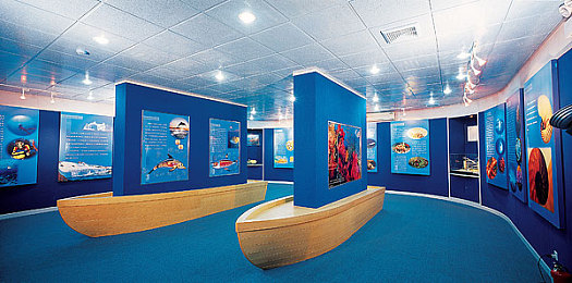 解剖分尸血腥网站入口网站|汽车行业网络安全挑战升级:技术创新与法规完善势在必行,保障车主安全不容忽视-2