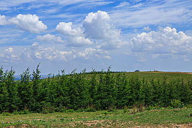 黑料吃瓜反差|品质之光:破除偏见,汽车品牌的多面魅力展现-1