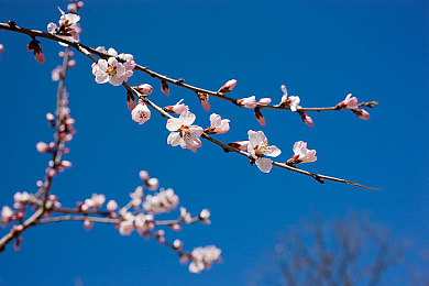 男生和女生对肌肌|汽车设计新潮流:"肌肌"元素引领男女消费者审美新风尚-2