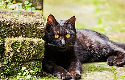 男生的坤坤放在女生的坤坤里面|全新车型巧妙融合男女喜好,内外兼修实力领跑市场-1