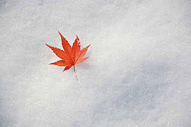 黄色软件安全下载｜智能汽车时代，安全无忧，绿色软件一键下载，守护行车安全-1