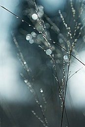 赵露思被 到喷水18禁暗夜｜“暗夜高性能车型亮相，赵露思“被喷水”梗引发热议，引领汽车行业新潮流”-4