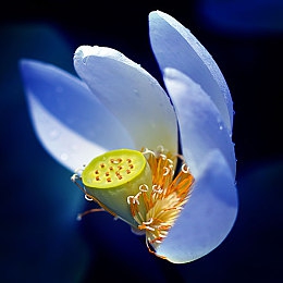 国产乱人｜性能卓越价格亲民，国产中型SUV新秀引关注：油耗仅7.5L！-2