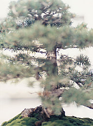 99re|新能源汽车领航,燃油车市场创新潮涌:盘点近期热门新车型-3