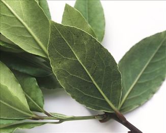 西装办公室男男激情｜全新豪华轿车亮相：时尚设计，卓越性能，引领汽车市场新潮流-1