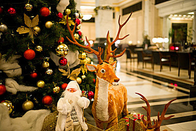 亚洲人与日本人j j zz|亚洲JJazz狂潮席卷:改装文化在日本引领汽车风尚新潮流-1