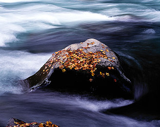 日本主妇厨房乱婬|汽车内饰整洁度关乎生活品质,从“日本主妇厨房乱婬”事件看车主生活态度-2