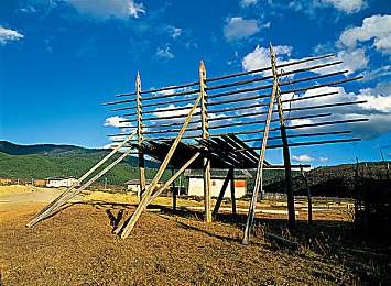 吴梦梦教练和健身教练合作方式|活力重塑,健身赋能,汽车行业团队新动力-1