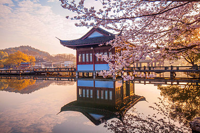 少妇被公牛日到了高潮｜激情动力，炫酷设计，智能驾驭，亲民之选——全新SUV，速度与激情的极致演绎-1