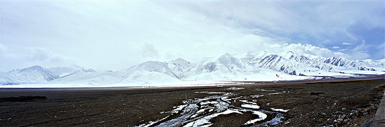 天天干天天射天天|时尚动感,性能卓越:全新汽车品牌亮相,年轻市场新宠引关注!-4
