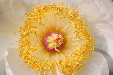 黄色软件app大全免费下载2023|2023汽车应用盛宴:精选工具助您畅享驾驶乐趣,避开不良信息困扰-3