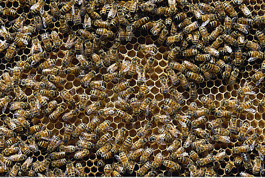 天天射天天干｜创新设计引领潮流，豪华性能征服市场：揭秘全新汽车界的焦点之作-1