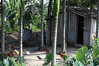 大象影视传媒ceo入口门户官网|新能源汽车崛起:挑战与机遇并存,产业升级势不可挡-1