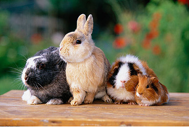 被吊起来毛笔轻挠奶头｜创新破局，豪华巨匠：全新震撼车型即将上市，性能卓越，引领潮流-1