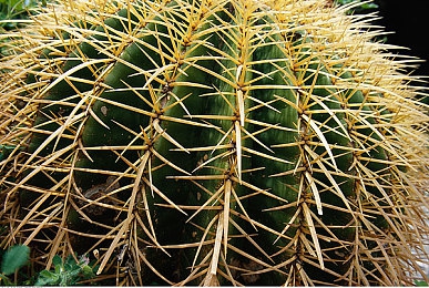 720lu刺激自拍｜全景纪行，智能驾趣，安全同行-2