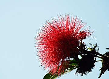 男人与雌性宠物交2O24|2024年特斯拉颠覆科技,引领自动驾驶与智能化交互,创新电池技术开启新能源汽车新纪元-2