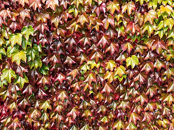 天天干干干｜科技引领未来，＂天天干干干＂高性能智能环保汽车惊艳登场-4