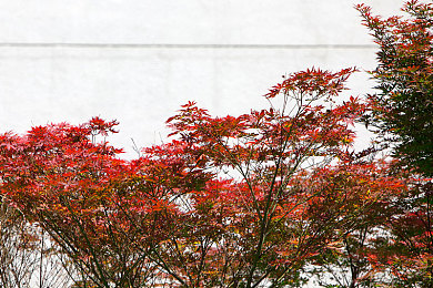 男生和女生一起差差差的app｜“社交新风尚，汽车行业焕新颜：互动平台助力汽车品牌拓展市场”-1