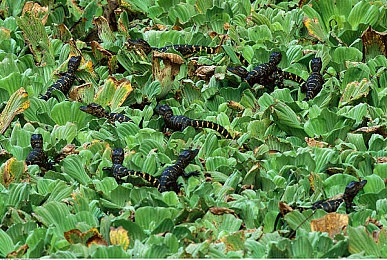 开襟jk做双人运动|独特设计引关注,双人运动汽车“开襟JK”亮相市场,未来趋势不容忽视-3