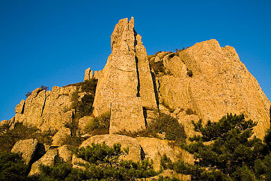 亭亭玉立国色天香四月天科普|四月春风吹,国车新颜展,智行天下路-3