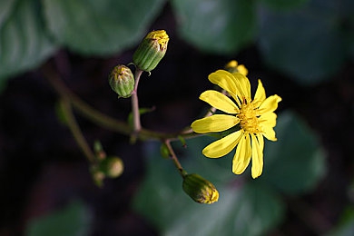 打女学生白嫩秘 光屁屁|“白嫩秘SUV惊艳上市:独特设计诠释时尚,舒适驾驭体验非凡”-4