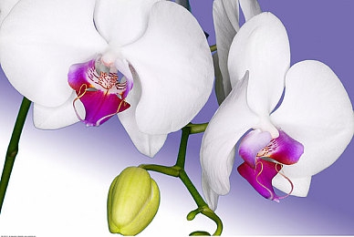 卡在洗衣机里的姐姐｜安全驾驭，智行未来-1