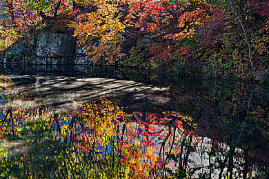 小黄鸭免费安装无风险的软件|汽车智能新篇章:免费安装神器助您畅享驾驶乐趣-4