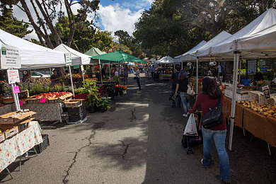 色网入口｜智能定制，安全环保，新能源汽车“色网入口”引领未来出行潮流-2