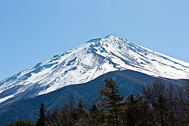 十大禁止黄色软件下载｜汽车安全护航，警惕“隐形陷阱”软件下载-4