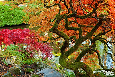 erodensha 下载｜创新科技引领未来，智能驾驶新体验：汽车下载应用助力绿色出行-2