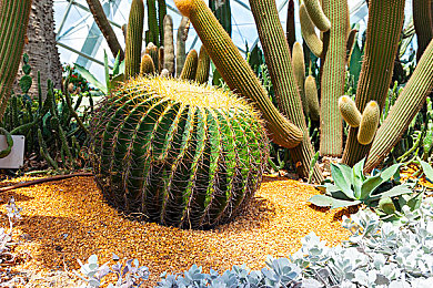 天美麻花星空MV是什么剧｜“星空梦幻，天美麻花启航：创新外观、卓越性能，引领汽车新潮流”-1