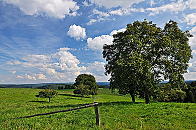 红桃视频免费入口|“智能驾驶新体验:车载系统海量娱乐导航生活服务,畅享无忧出行之旅”-1
