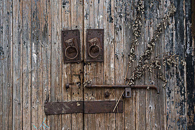 拨萝卜不盖被子-1