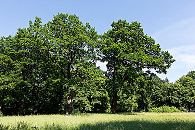 数学课代表趴下让我桶｜创新科技与环保理念融合，国产概念车亮相引关注，未来出行新标杆-1