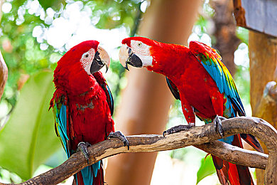 男生和女生一起查查查带疼痛的东西正常｜汽车保养，性别无界，携手探寻“痛”点之旅-1