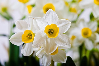 五月天成人激情｜激情五月，SUV与轿车新秀争艳，汽车市场精彩纷呈-2