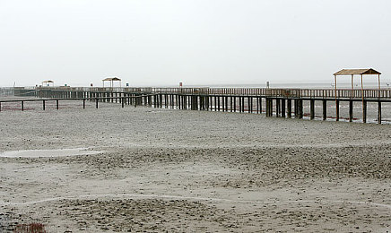 把坤坤放进甜甜圈里｜“甜甜圈车身，坤坤相伴，趣味驾驶新体验，汽车界新宠来袭！”-2