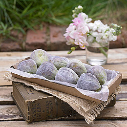 free 性护士vidos猛烈-百度｜“千里续航，智控未来——新能源汽车变革先锋，引领绿色出行新潮流”-1