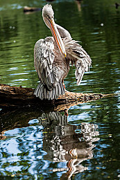 中国av电影|汽车文化魅力绽放:电影展现中国汽车产业崛起之路-3