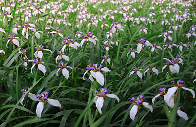 黄台2023|科技领航,时尚出行:黄台汽车全新系列引领未来驾驶潮流-5