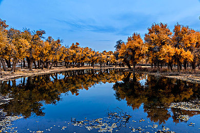 火影忍者成人动漫|动感红黑忍者风,豪华智能驾驭新境界-2