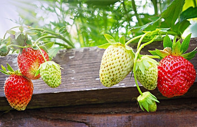 奶大交一性一交一乱一情｜动感风潮领航者：涡轮驱动，品质卓越，智能驾驭新境界-2