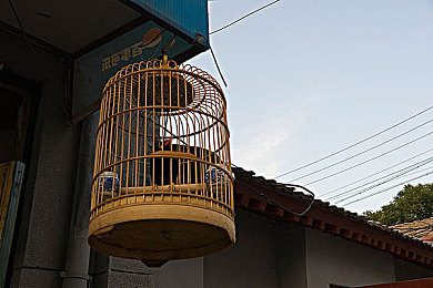 天天干天天摸天天操｜全新SUV性能卓越，舒适体验非凡，引领品质生活新潮流-1