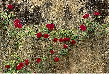 能一对一黄聊的app｜汽车行业新突破：社交软件助力车企与消费者零距离互动-3