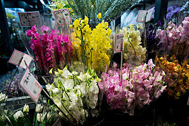 动漫 妓女 3D 巨大｜跨界融合创新：动漫灵感概念车引领汽车行业新潮流-1