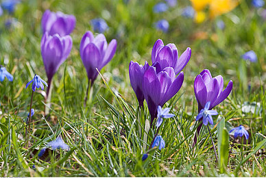 全彩ACG 无翼乌邪恶帝|全彩概念车惊艳亮相:智能科技与独特造型打造未来出行新体验-2